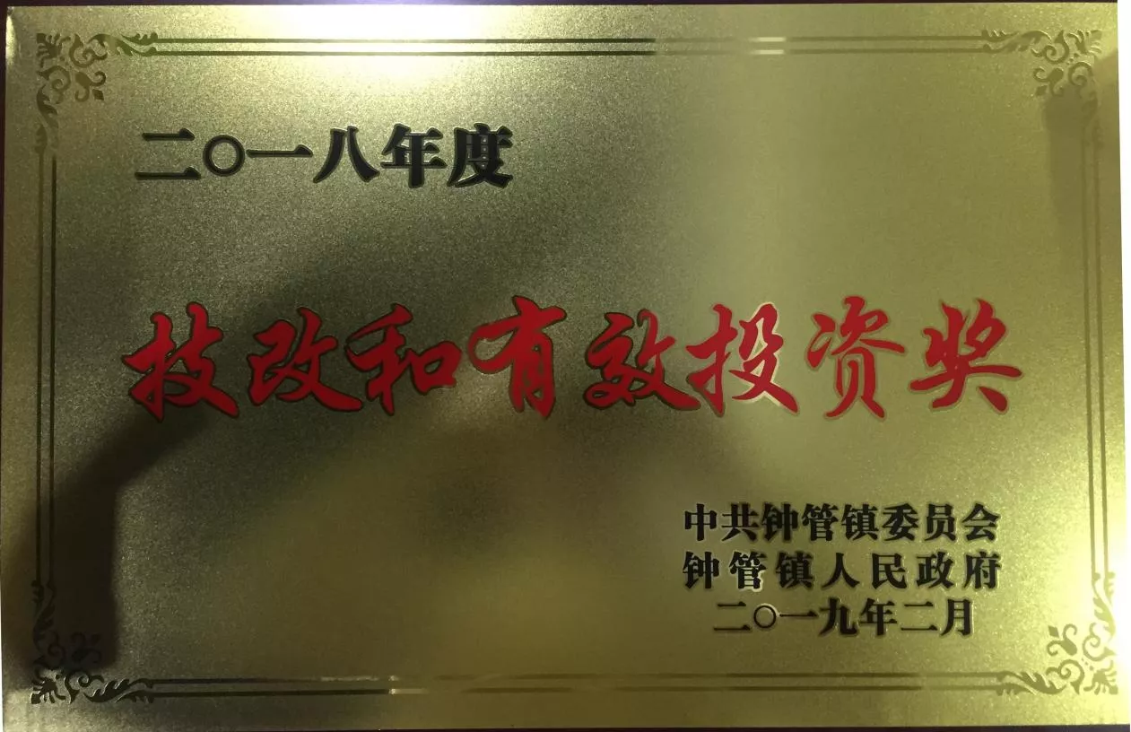 技改和有效投资奖